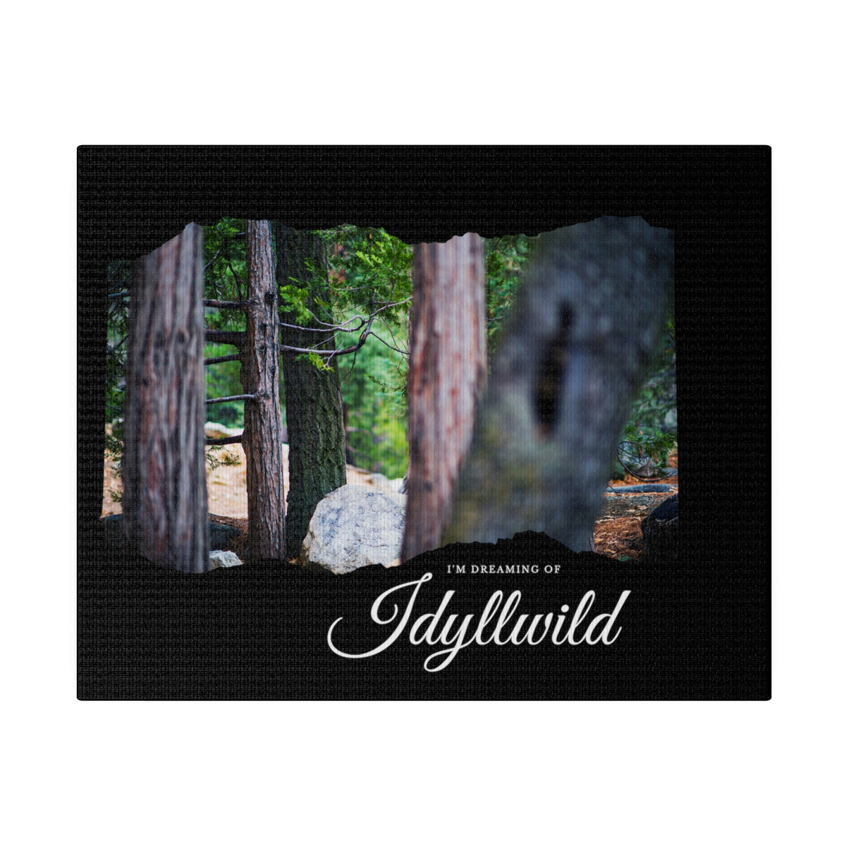 Matte Canvas, Stretched, 0.75" Dreaming of FOrest