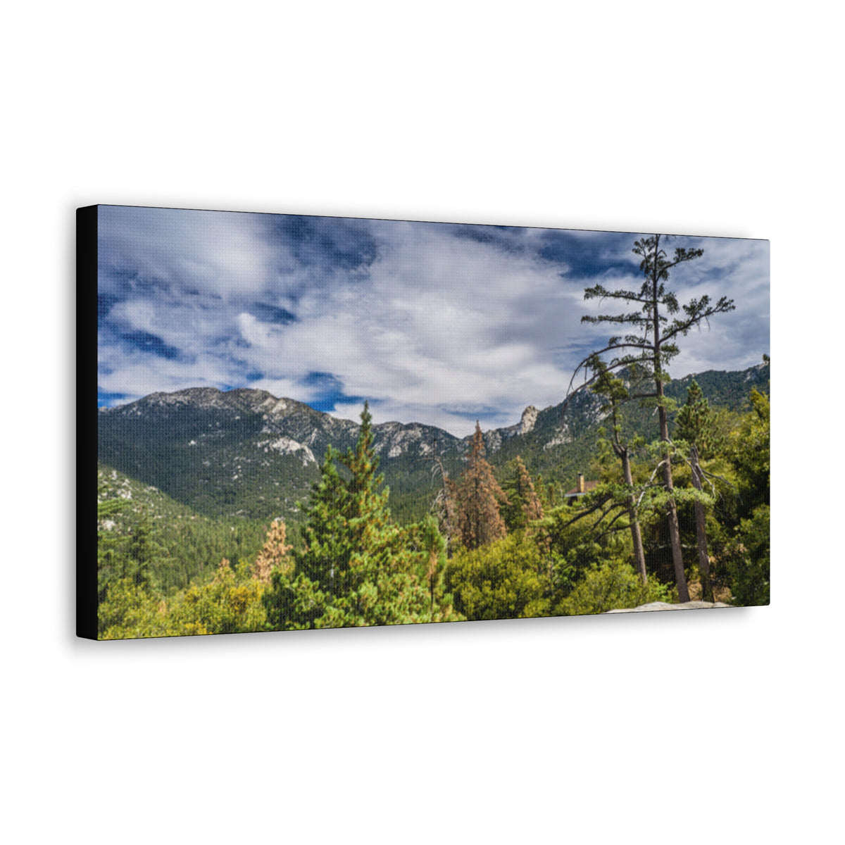 Canvas Gallery Wraps Mt Range Summer