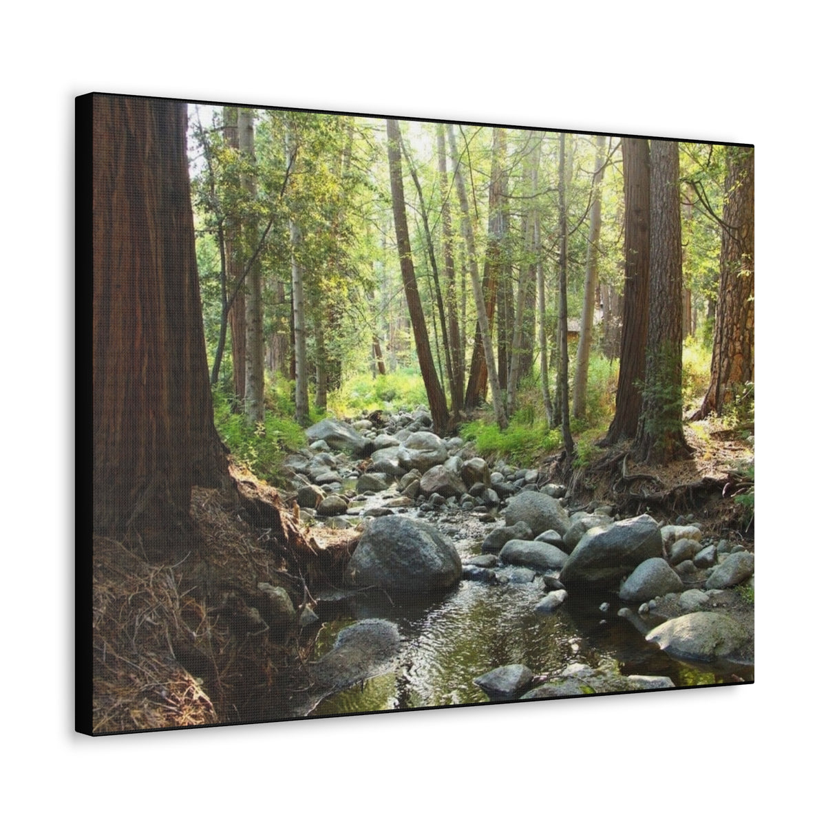 Canvas Gallery Wraps Creek