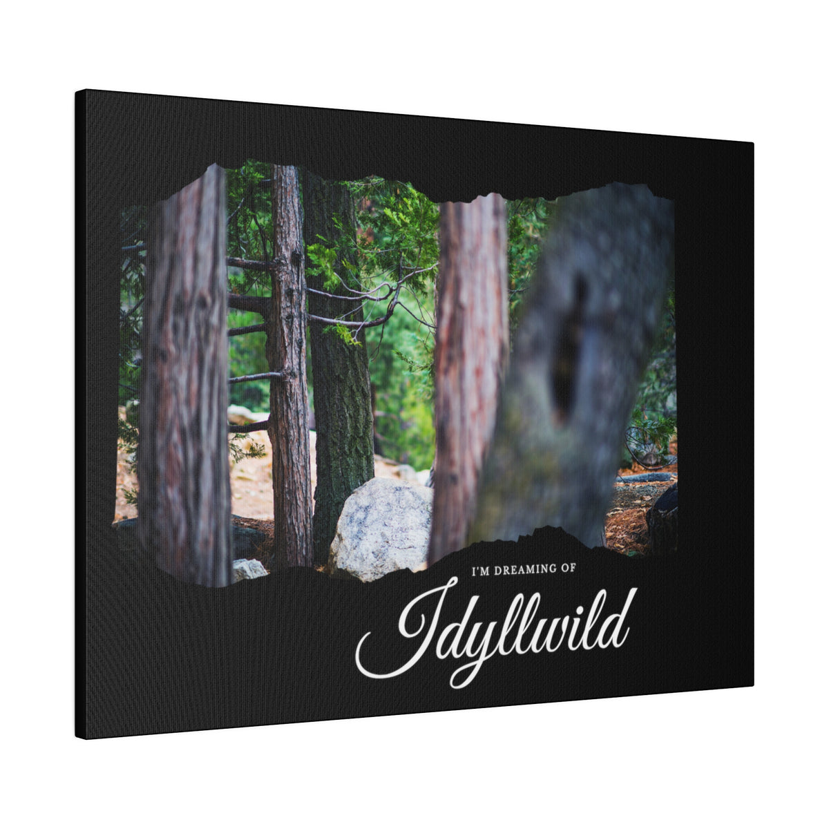 Matte Canvas, Stretched, 0.75" Dreaming of FOrest