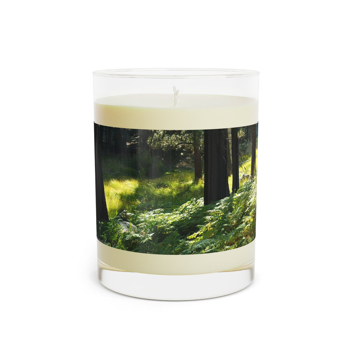 Scented Candle - Full Glass, 11oz Ferns