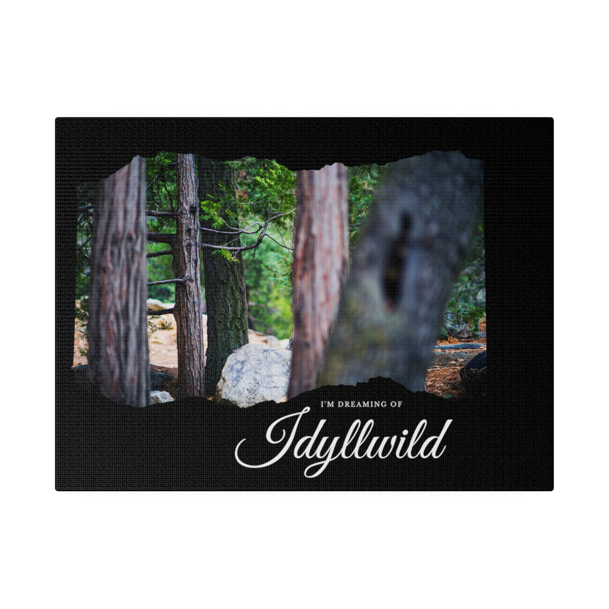 Matte Canvas, Stretched, 0.75" Dreaming of FOrest