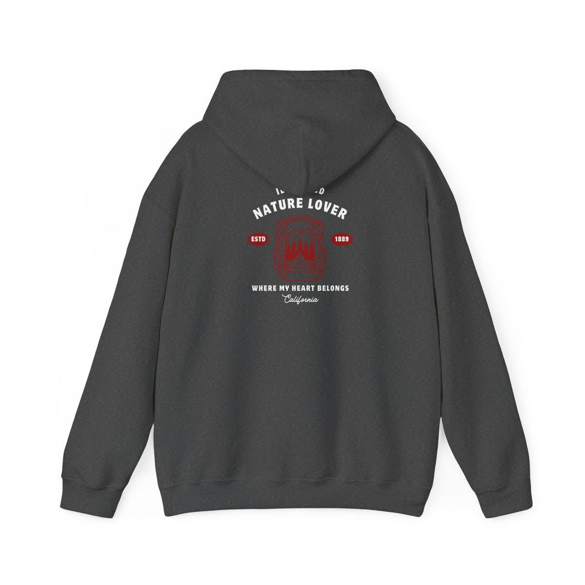 Idyllwild Nature Lover Established Red Letter Hoodie