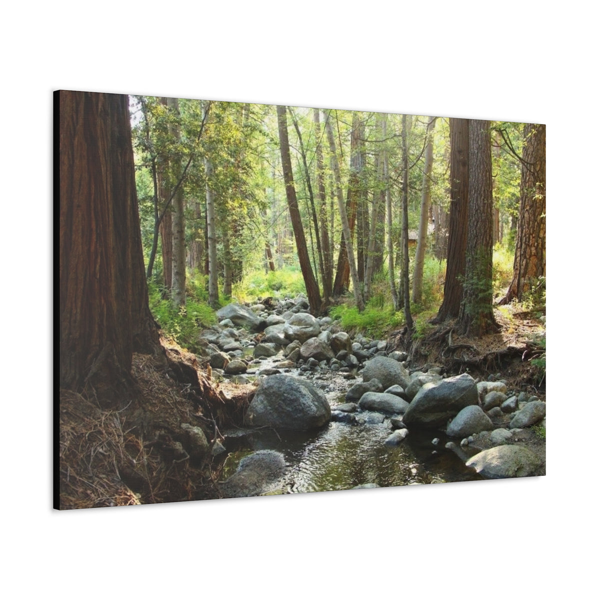 Canvas Gallery Wraps Creek