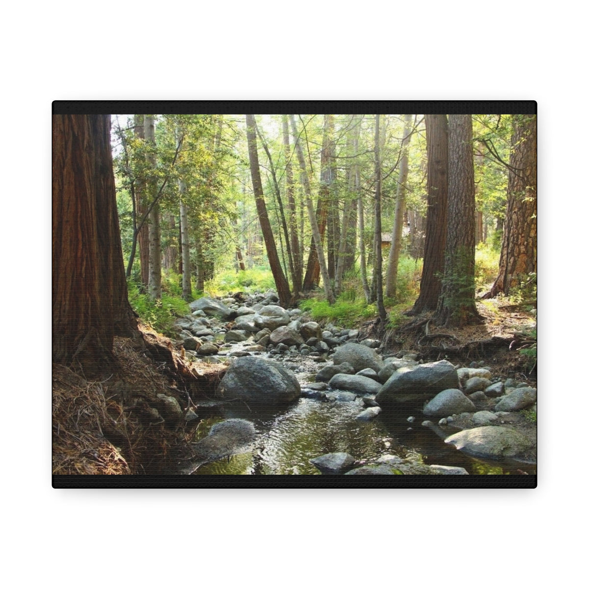 Canvas Gallery Wraps Creek