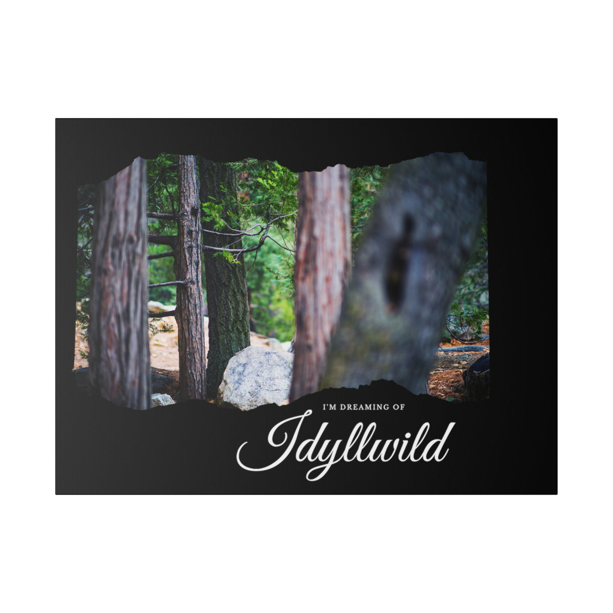 Matte Canvas, Stretched, 0.75" Dreaming of FOrest