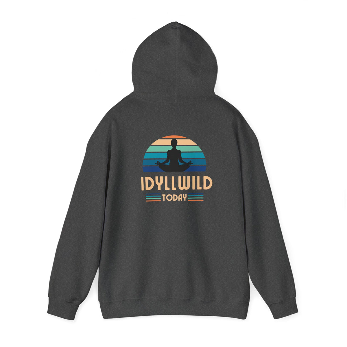Idyllwild Yoga today Hoodie
