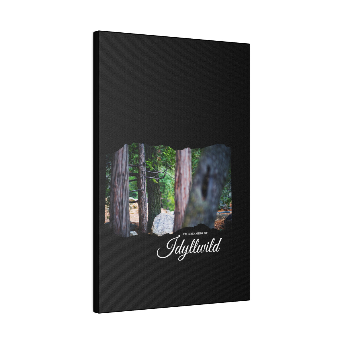 Matte Canvas, Stretched, 0.75" Dreaming of FOrest