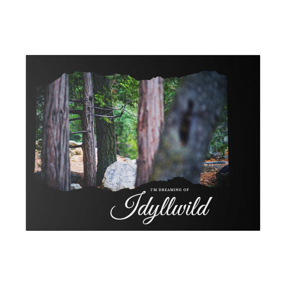 Matte Canvas, Stretched, 0.75" Dreaming of FOrest