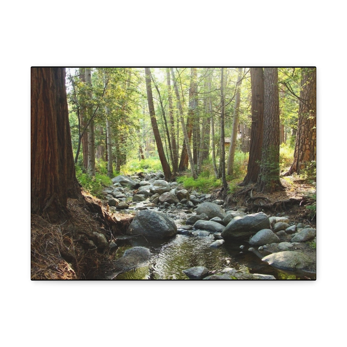 Canvas Gallery Wraps Creek