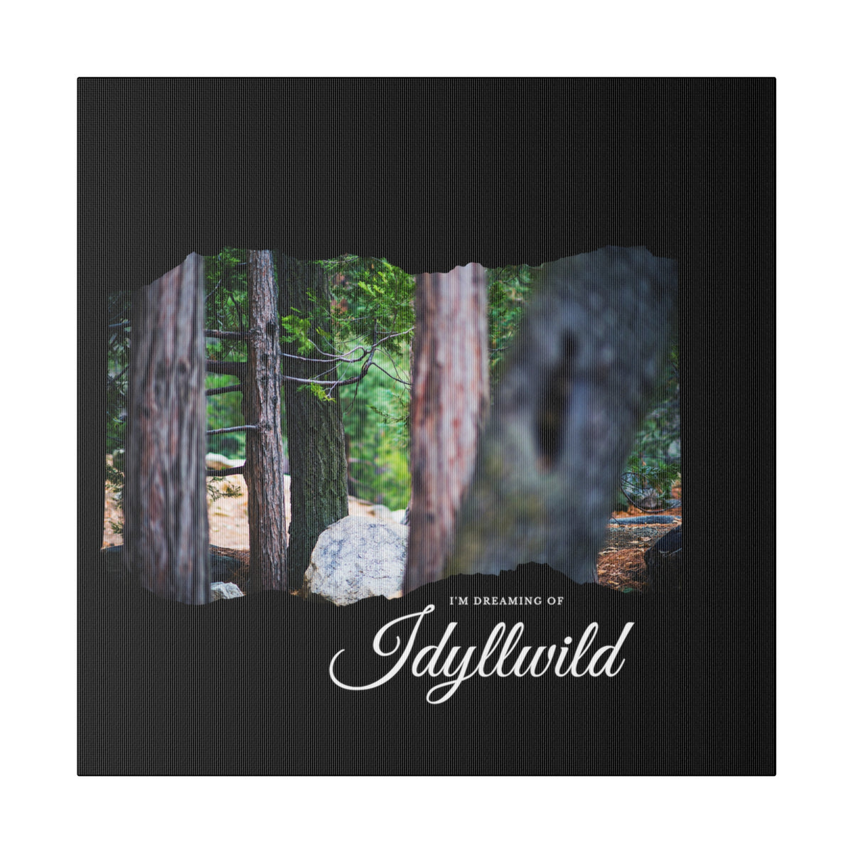 Matte Canvas, Stretched, 0.75" Dreaming of FOrest