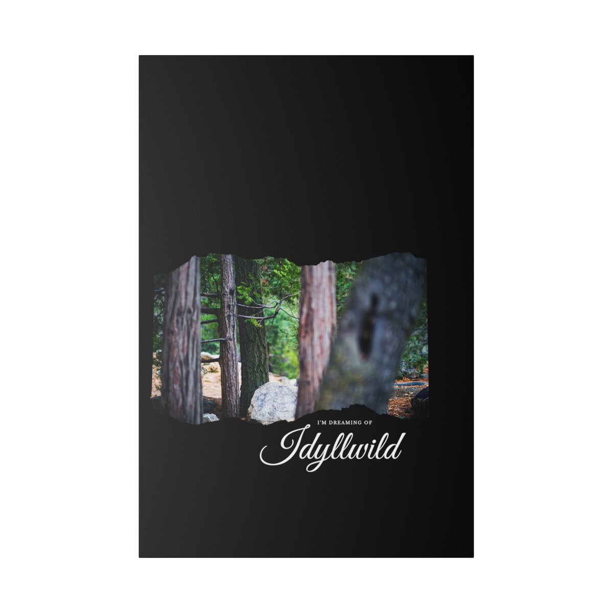 Matte Canvas, Stretched, 0.75" Dreaming of FOrest