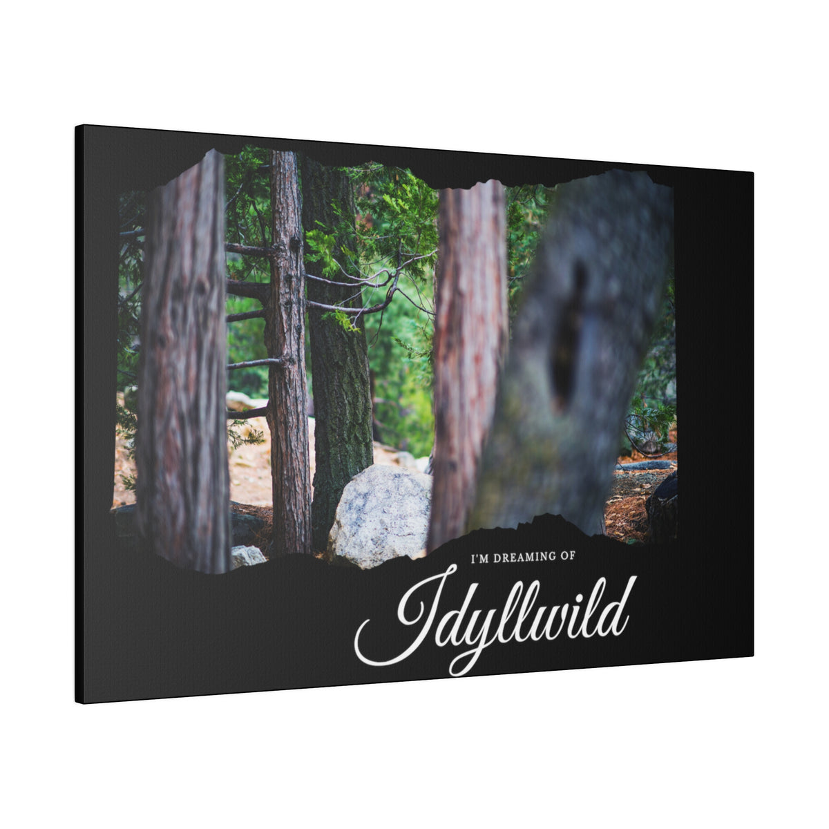 Matte Canvas, Stretched, 0.75" Dreaming of FOrest