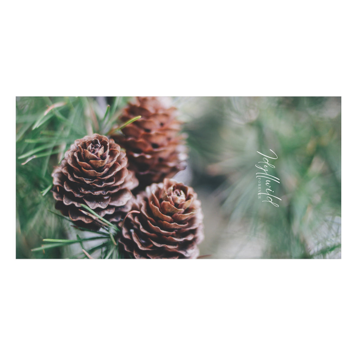Idyllwild Pine Cone Mink-Cotton Towel
