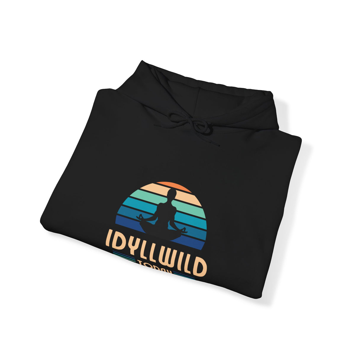 Idyllwild Yoga today Hoodie