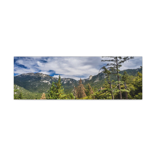 Canvas Gallery Wraps Mt Range Summer