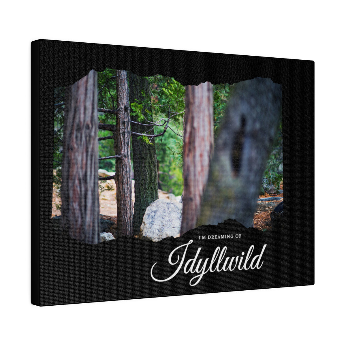 Matte Canvas, Stretched, 0.75" Dreaming of FOrest