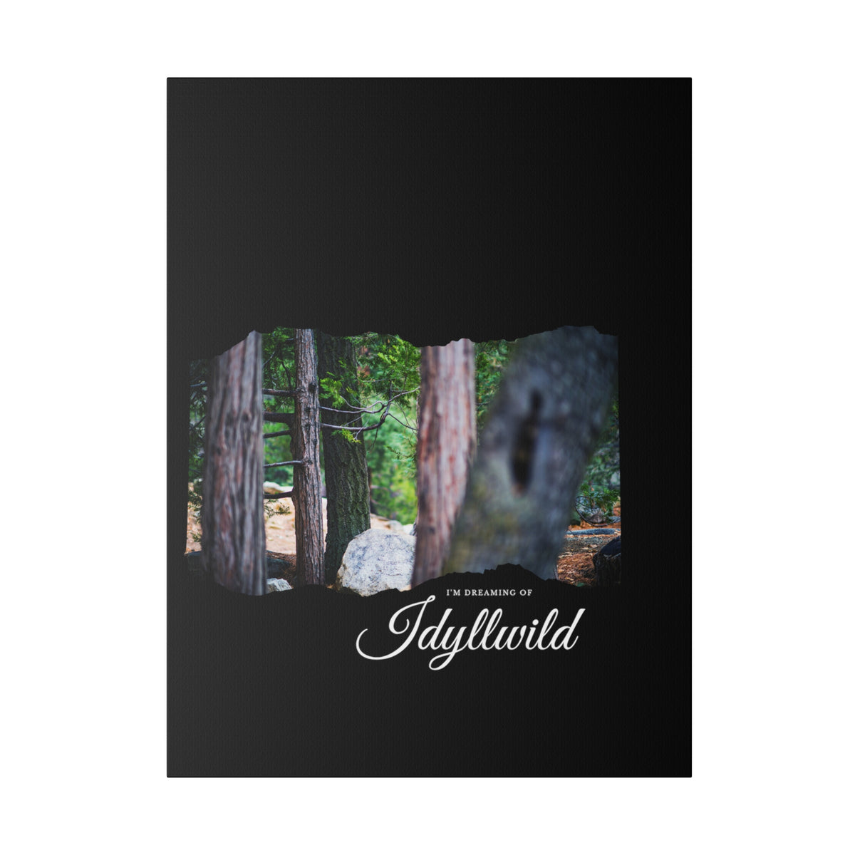 Matte Canvas, Stretched, 0.75" Dreaming of FOrest