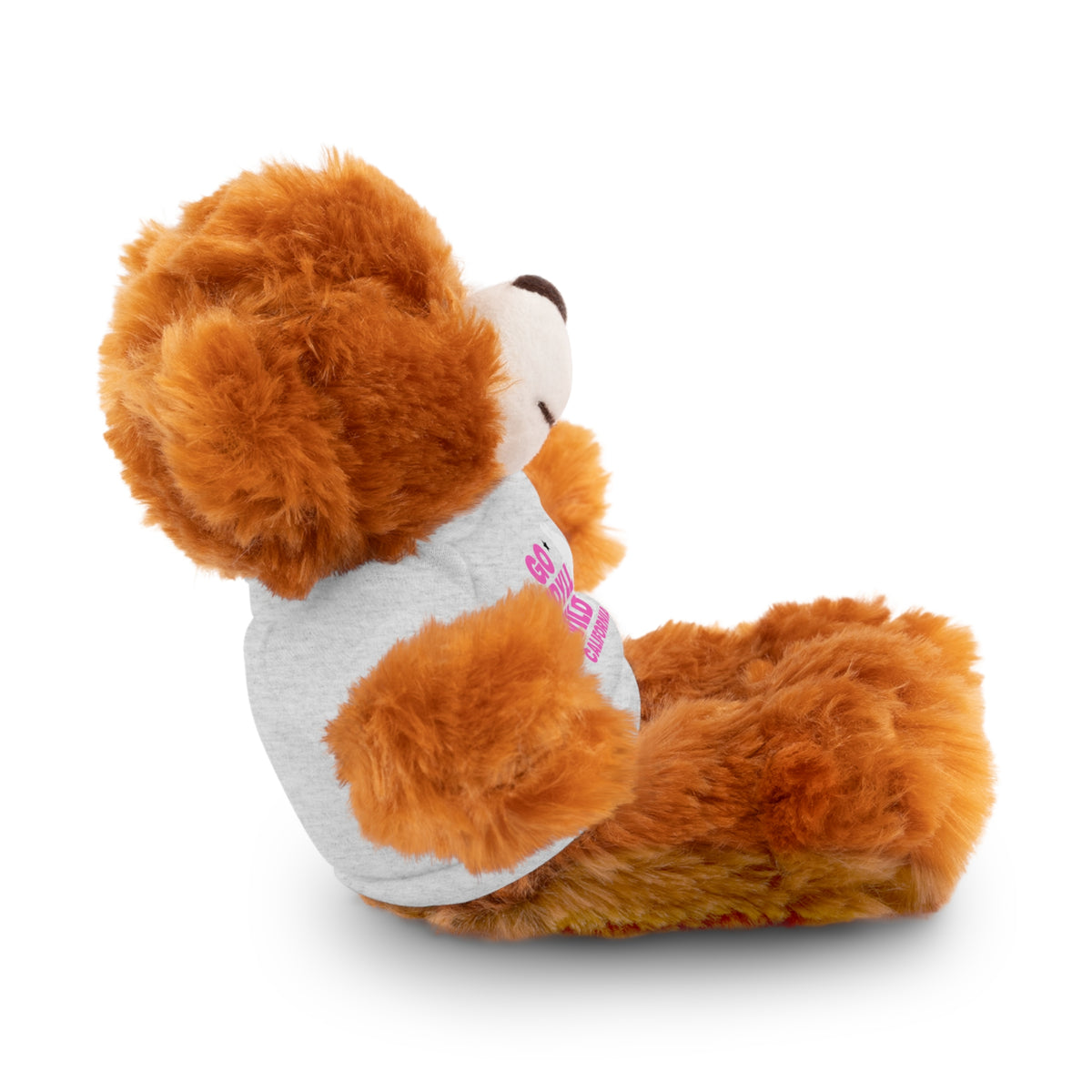 Stuffed Animals with Tee Mama Hike Idyllwild