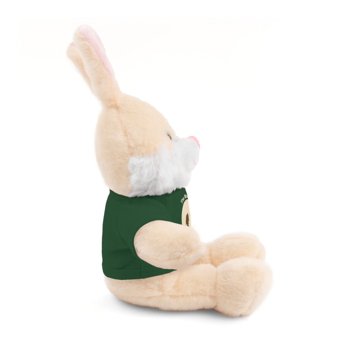 Stuffed Animals with Tee Hiking the Mountain Idyllwild