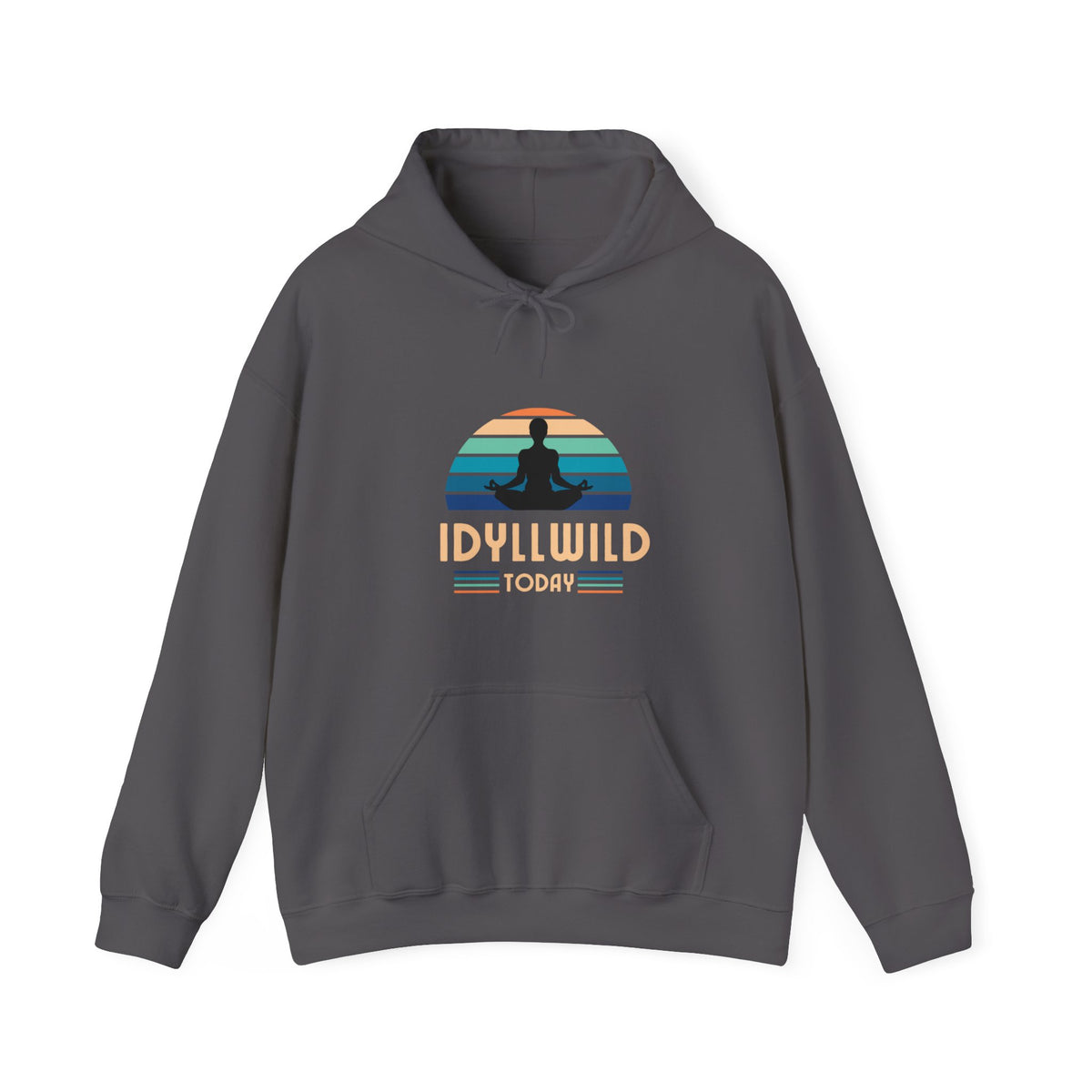 Idyllwild Yoga today Hoodie