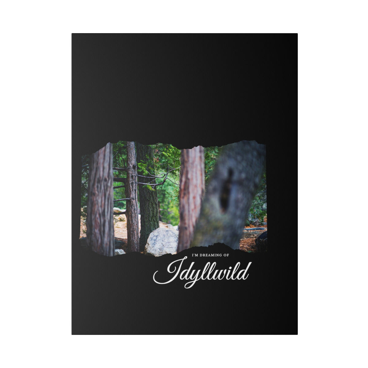 Matte Canvas, Stretched, 0.75" Dreaming of FOrest