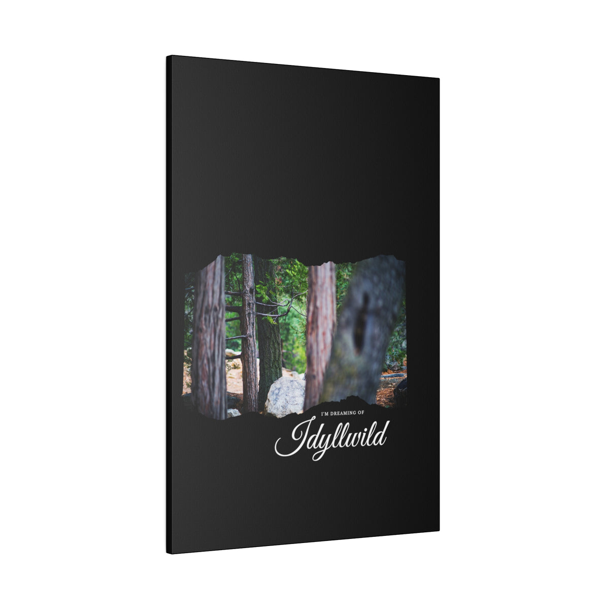 Matte Canvas, Stretched, 0.75" Dreaming of FOrest