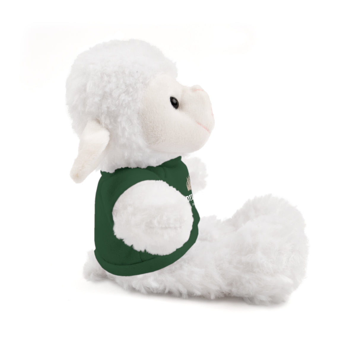 Stuffed Animals with Tee  Idyllwild Cabin in the Woods