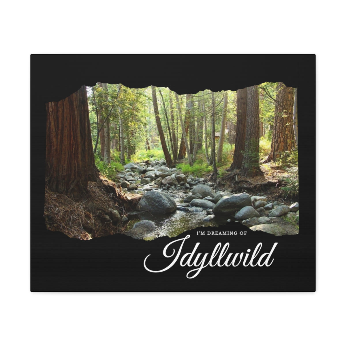 Canvas Gallery Wraps Dreaming of Creek