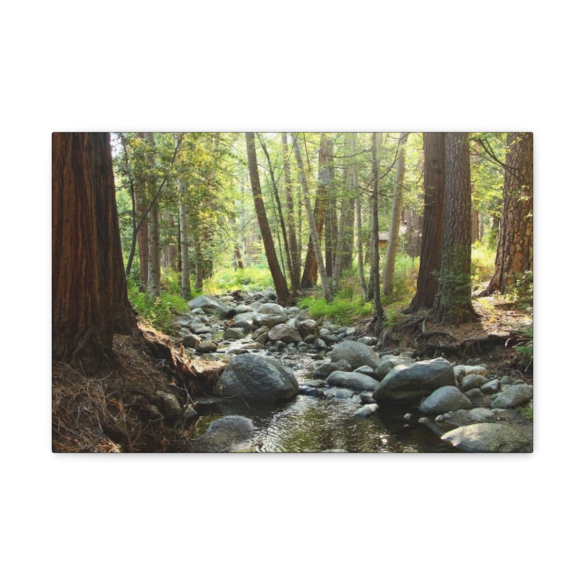 Canvas Gallery Wraps Creek
