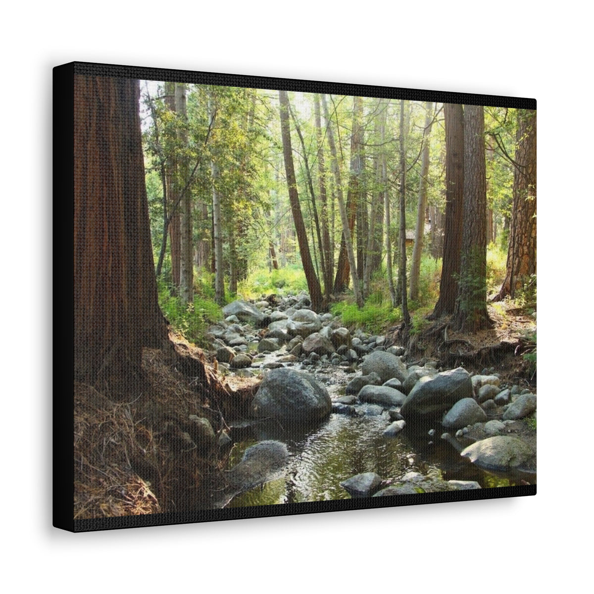 Canvas Gallery Wraps Creek