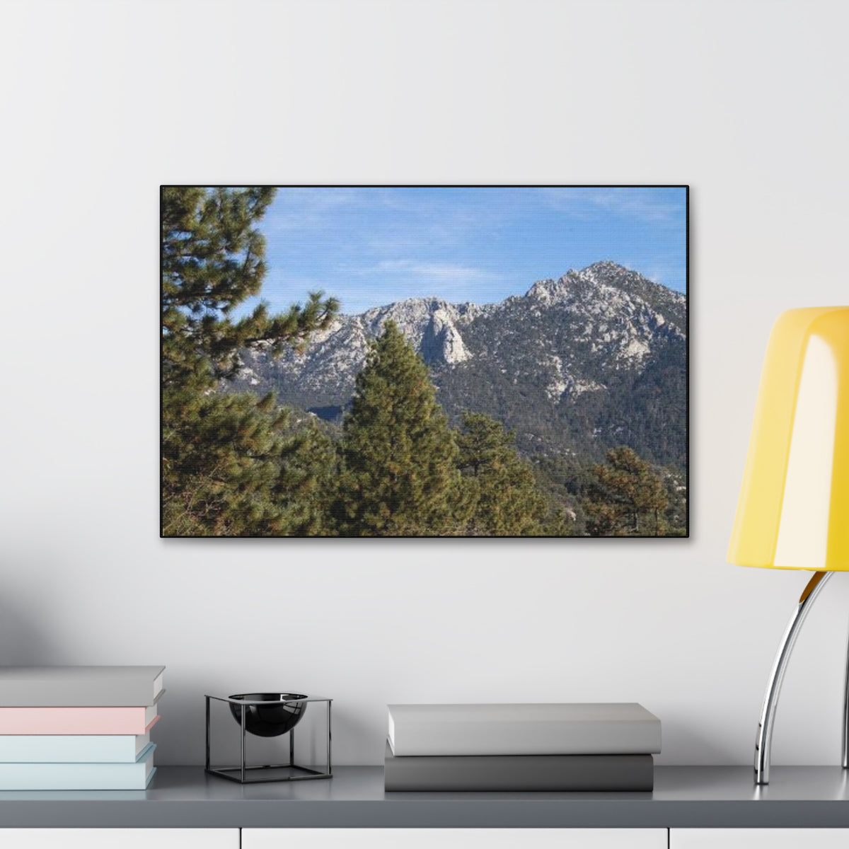 Canvas Gallery Wraps Lily Rock