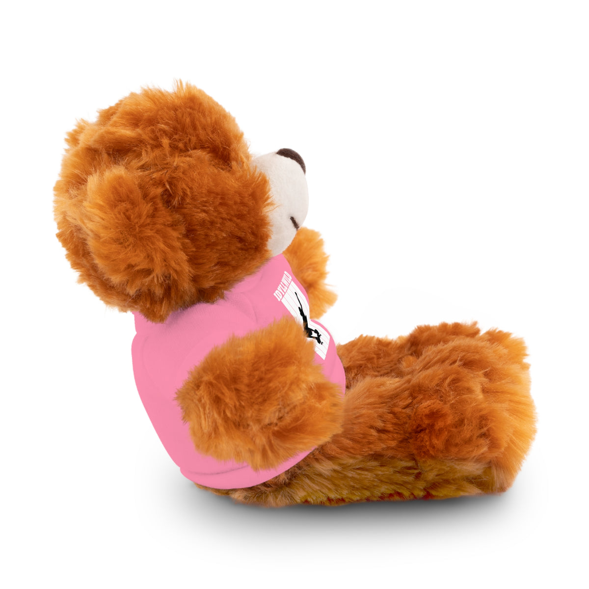 Stuffed Animals with Tee Skateboard Idyllwild