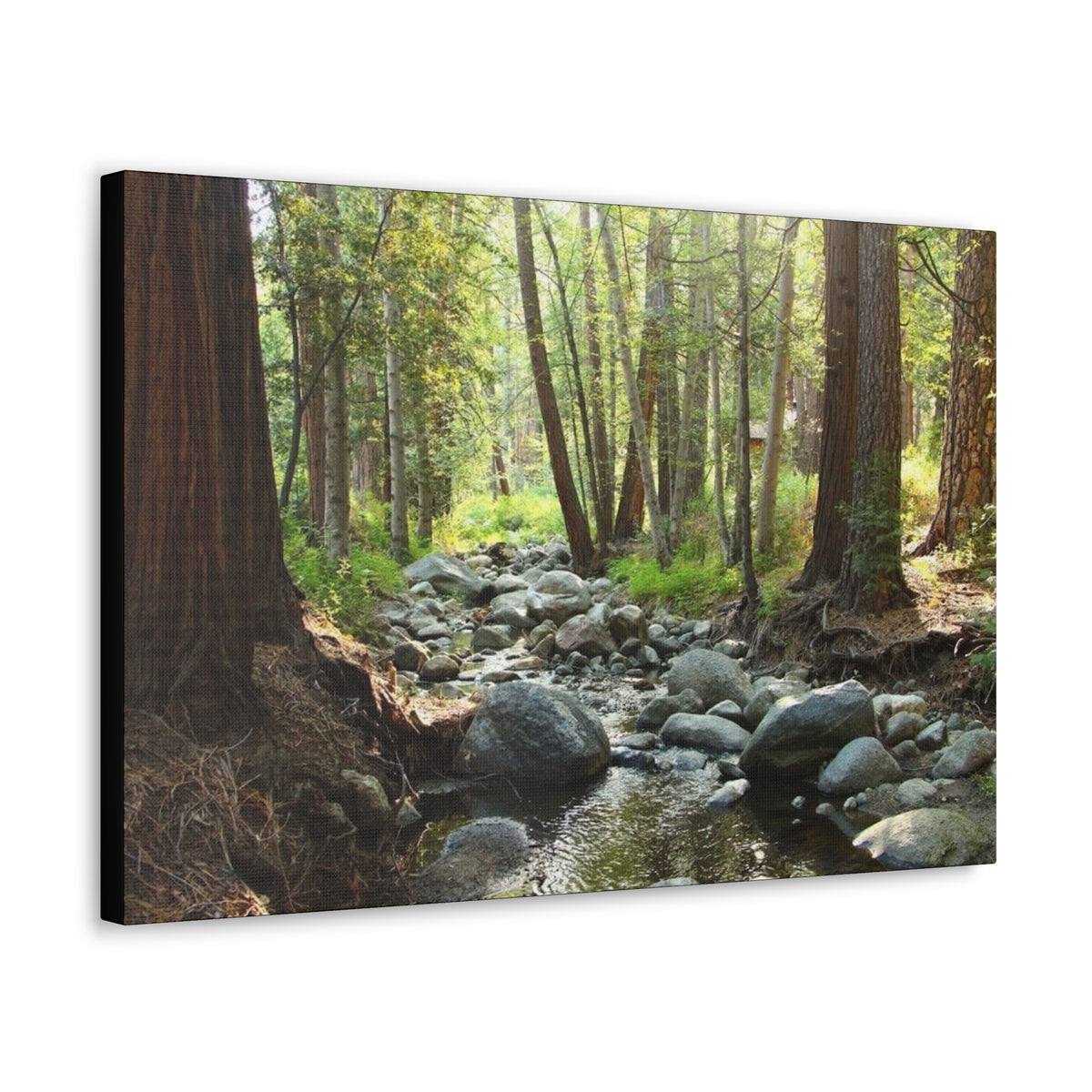 Canvas Gallery Wraps Creek