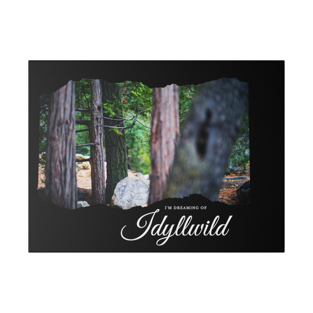 Matte Canvas, Stretched, 0.75" Dreaming of FOrest