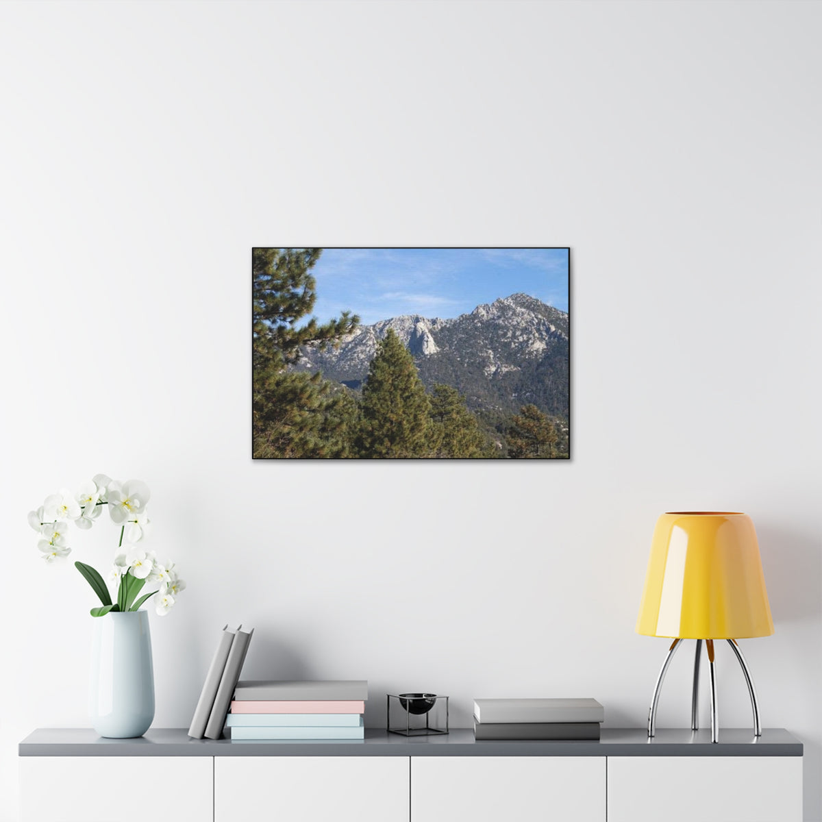 Canvas Gallery Wraps Lily Rock