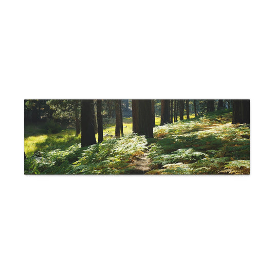Canvas Gallery Wraps Ferns