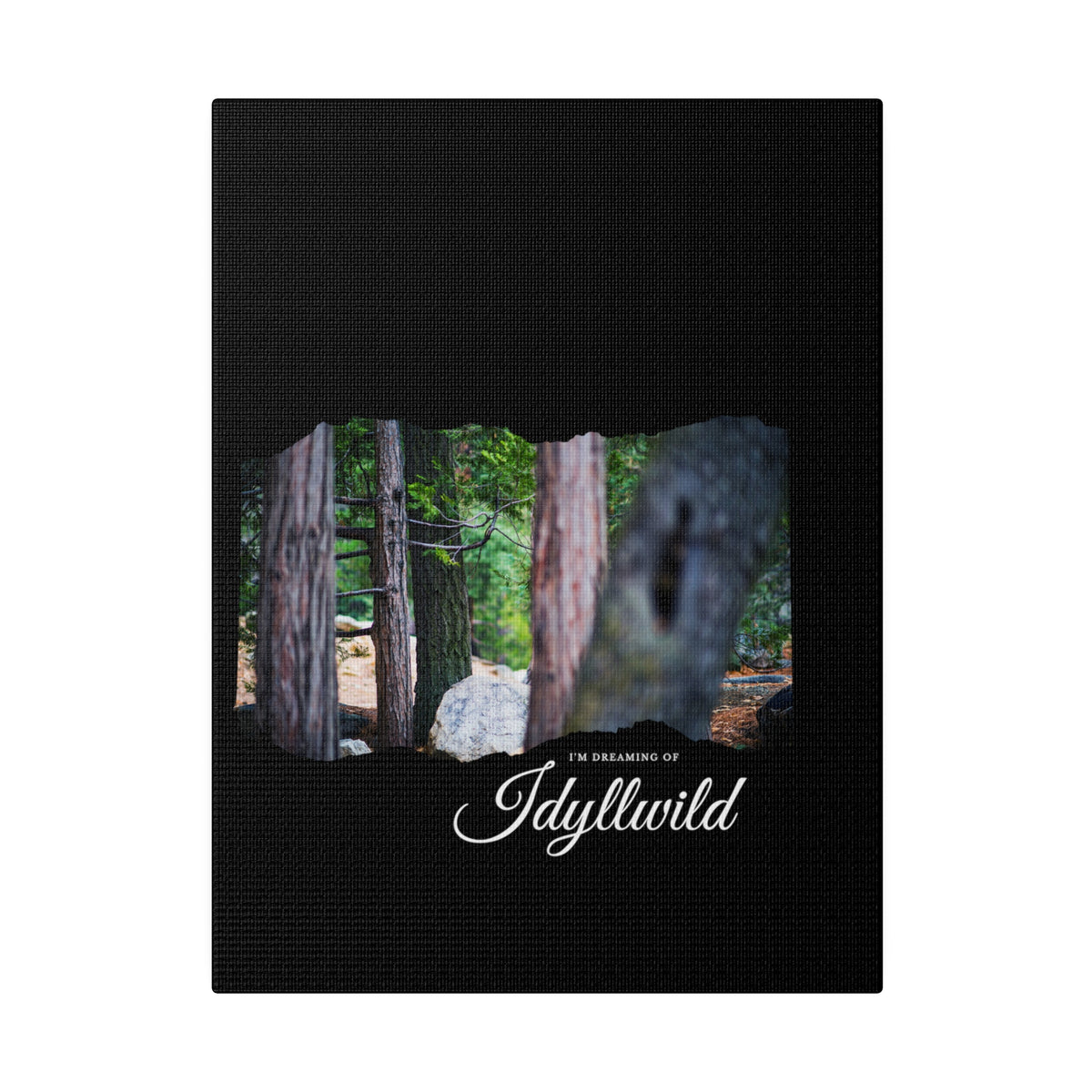 Matte Canvas, Stretched, 0.75" Dreaming of FOrest