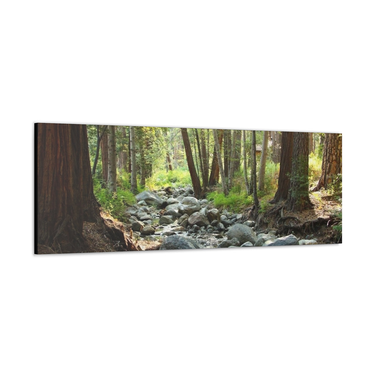 Canvas Gallery Wraps Creek
