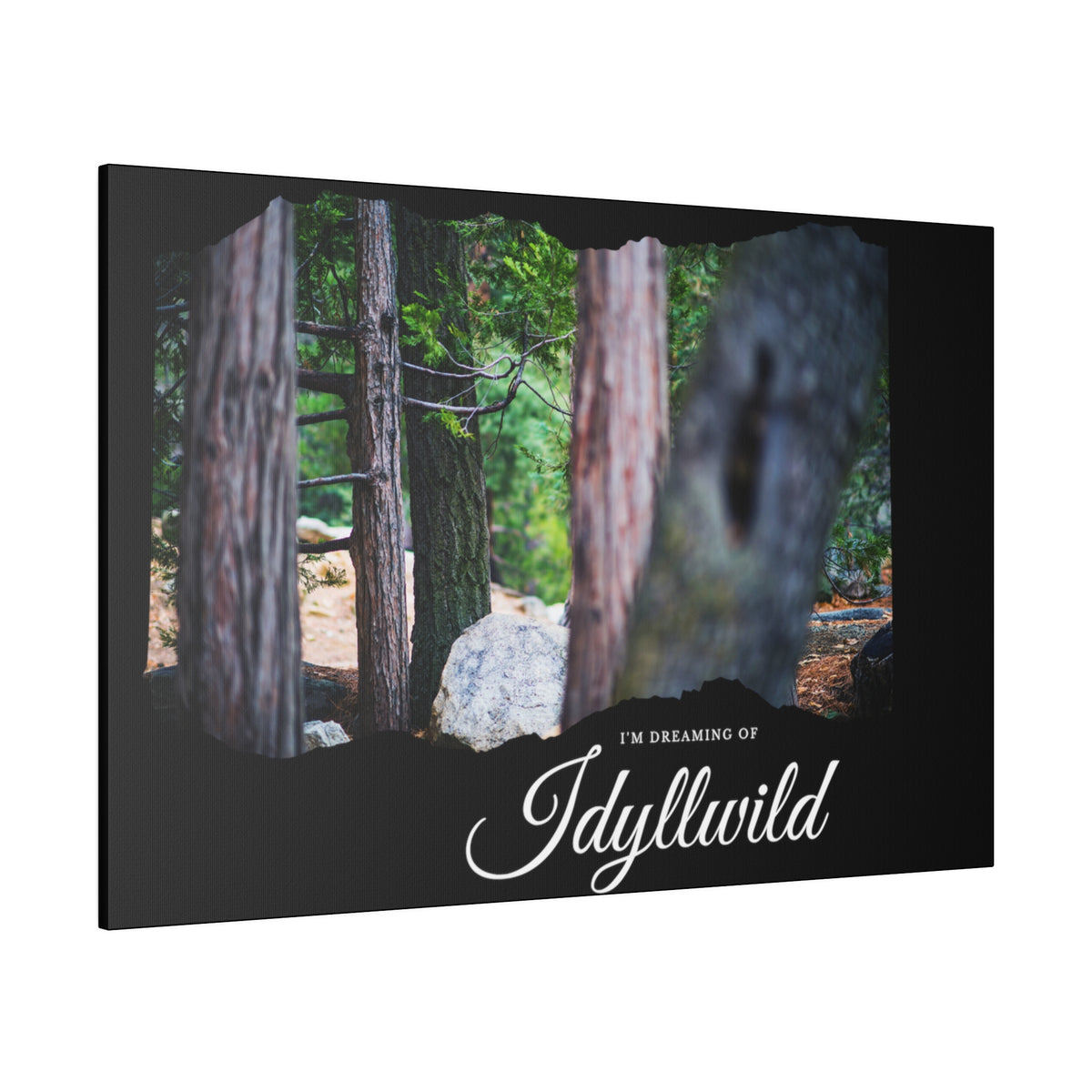 Matte Canvas, Stretched, 0.75" Dreaming of FOrest