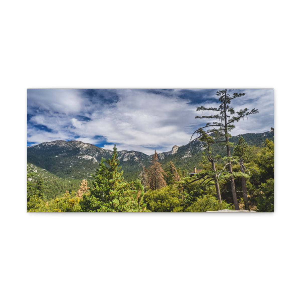 Canvas Gallery Wraps Mt Range Summer