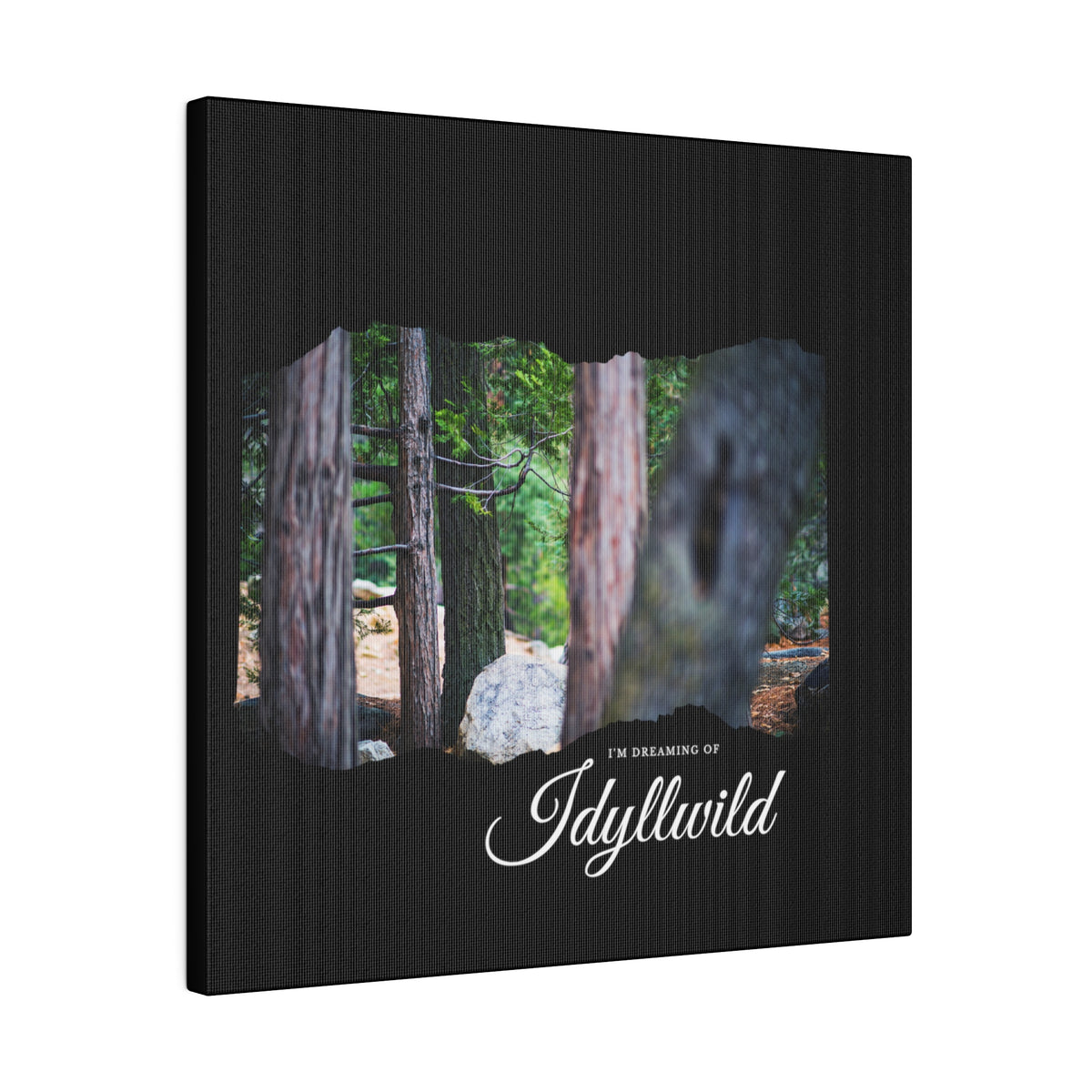 Matte Canvas, Stretched, 0.75" Dreaming of FOrest
