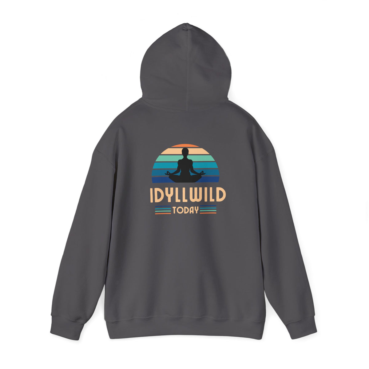 Idyllwild Yoga today Hoodie