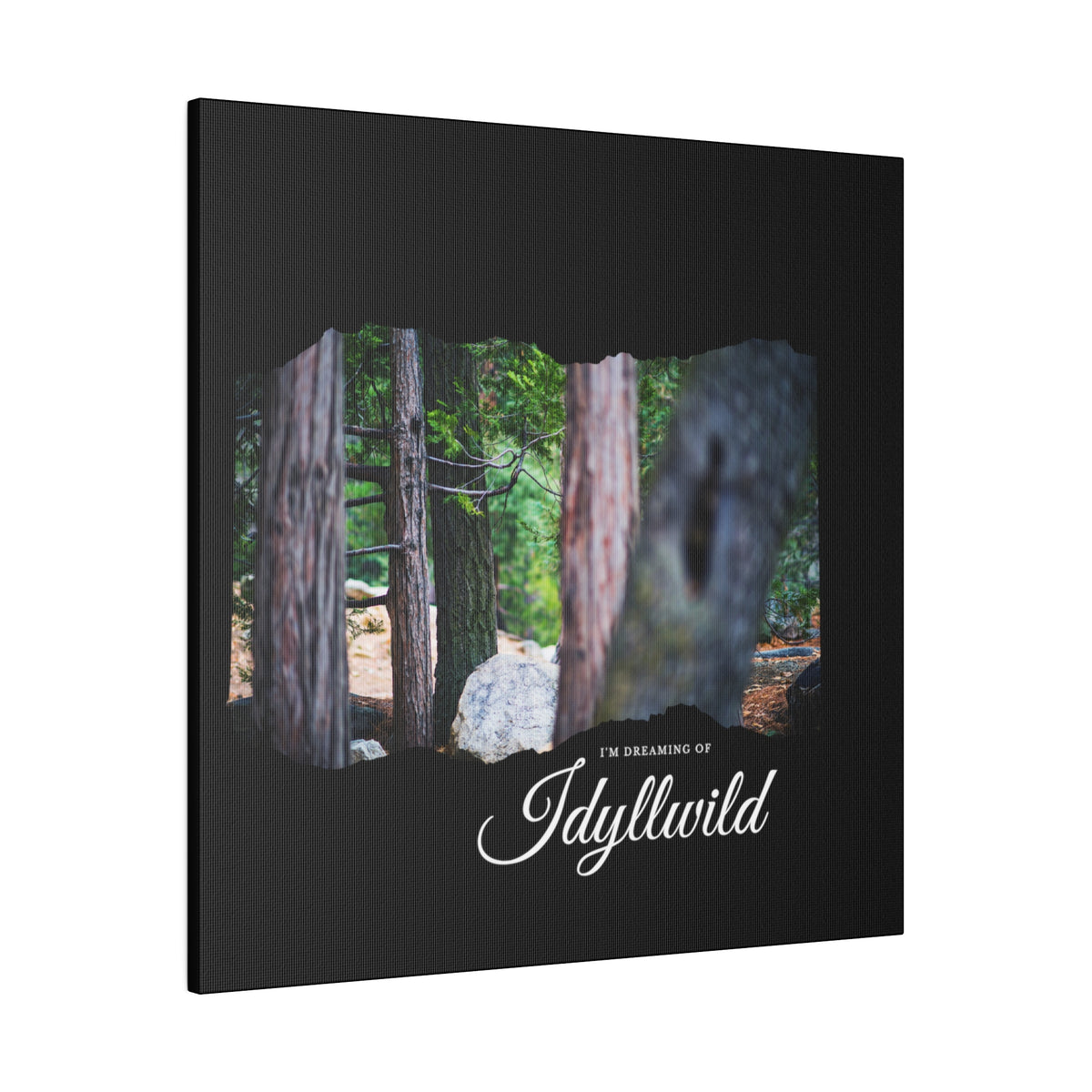 Matte Canvas, Stretched, 0.75" Dreaming of FOrest