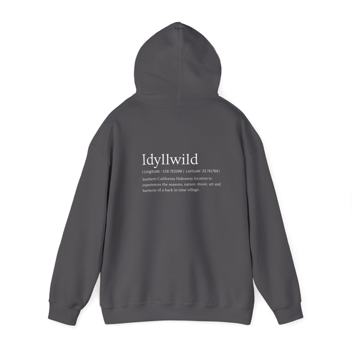 Idyllwild Long|Lat Hoodie