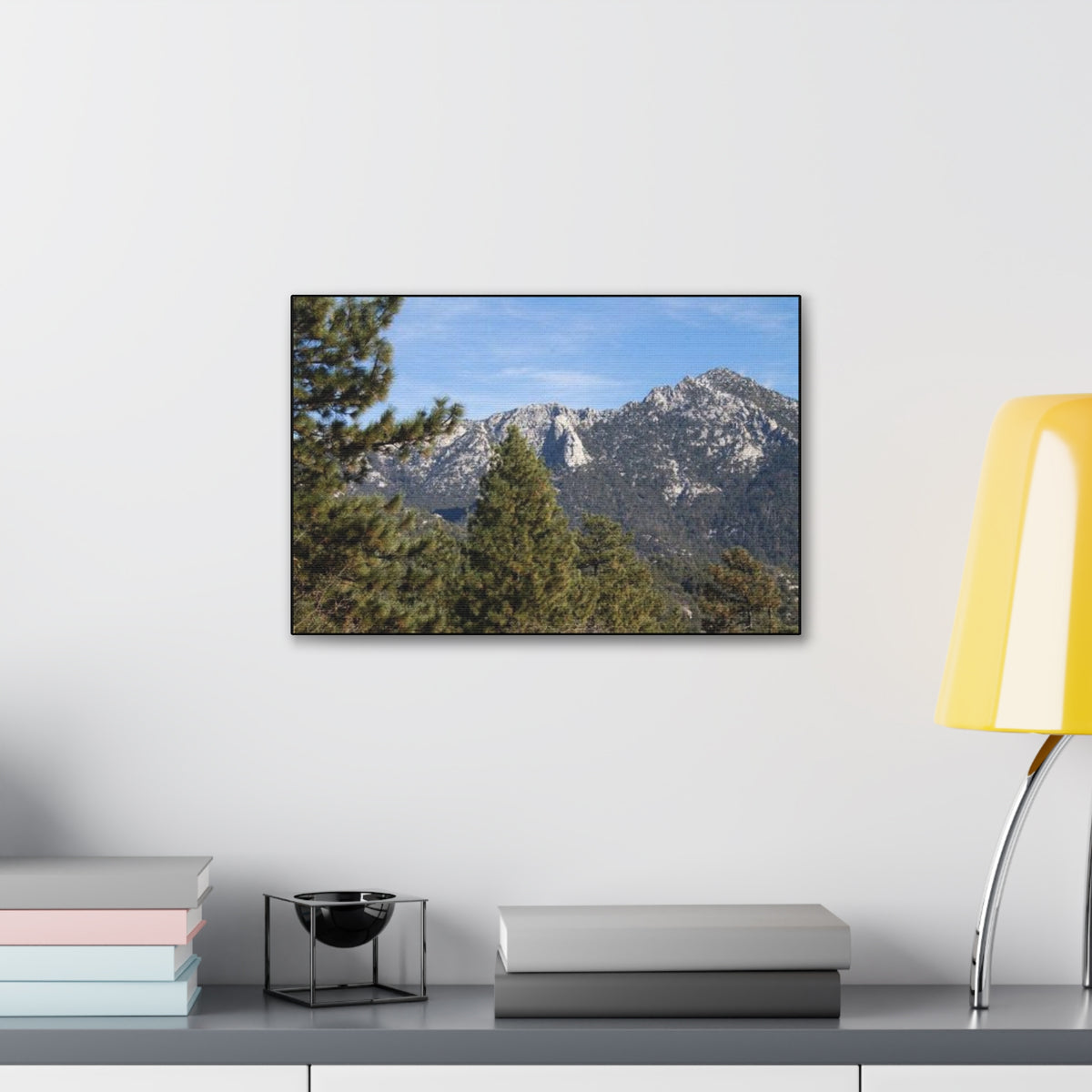 Canvas Gallery Wraps Lily Rock