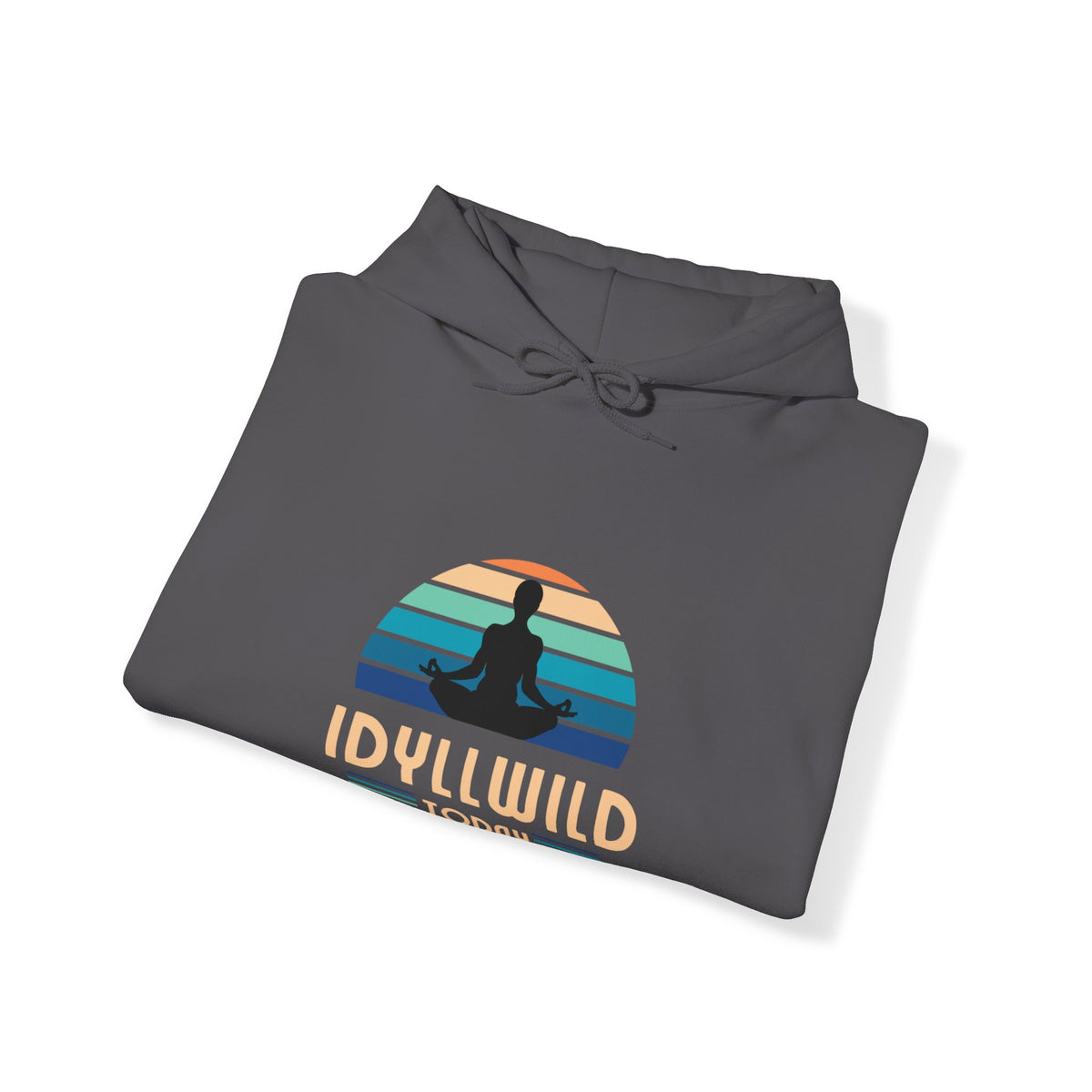 Idyllwild Yoga today Hoodie