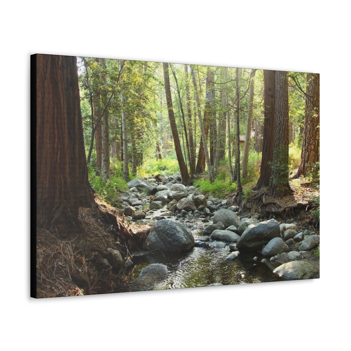 Canvas Gallery Wraps Creek