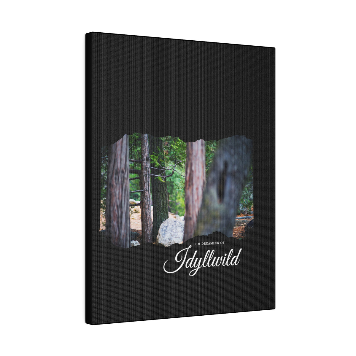 Matte Canvas, Stretched, 0.75" Dreaming of FOrest