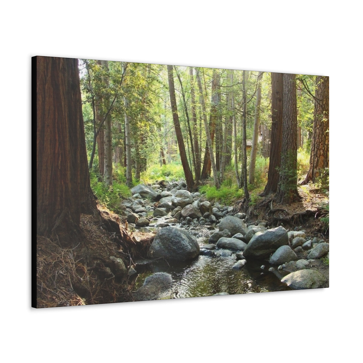 Canvas Gallery Wraps Creek